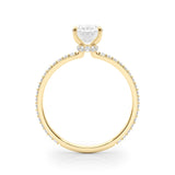 Oval Hidden Halo Engagement Ring