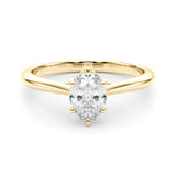 Luster Oval Cathedral Ring - Free Chérie Diamonds