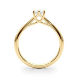 Luster Oval Cathedral Ring - Free Chérie Diamonds